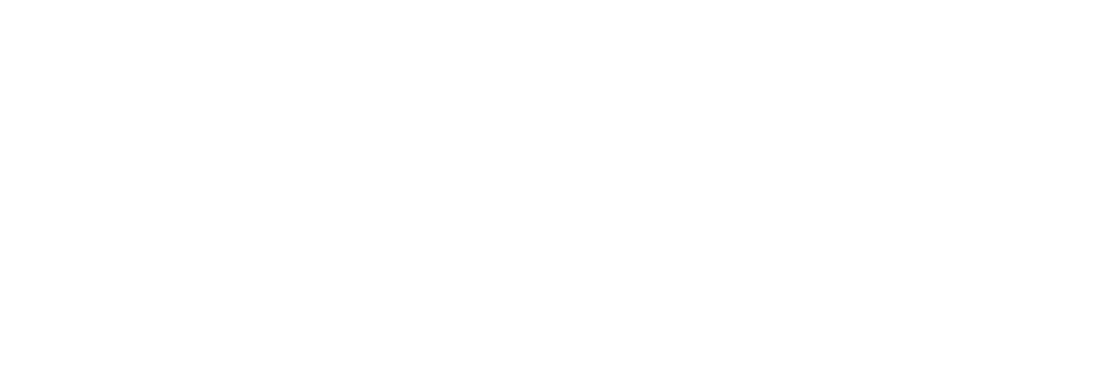 The Village Logo